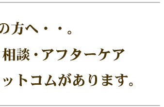 �A���Ԑ��E�C���E���k�E�A�t�^�[�P�A�E�K�C�V�������e�h�b�g�R��������܂��B