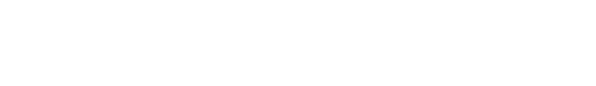 Version Group